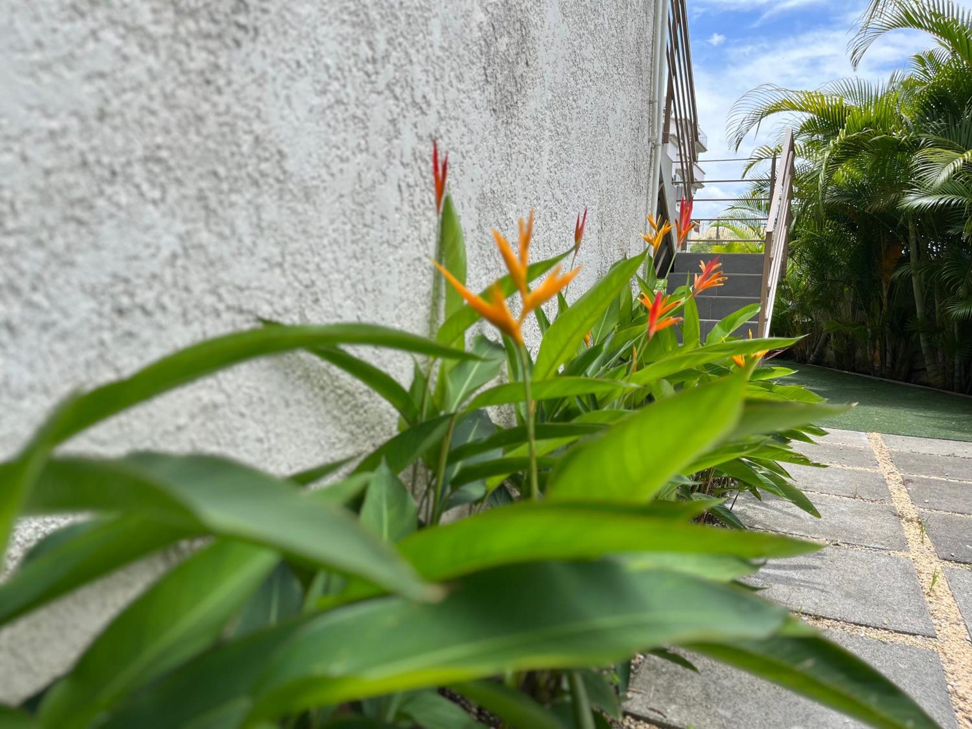 Cosy 2 Bedrooms Apts In Pereybere -Seasons Break Apartment Pereybere Beach Esterno foto